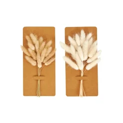 ADDO Vaso Crema|CASA