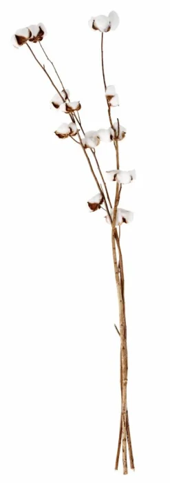 ADDO Vaso Crema|CASA