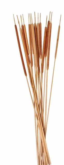 AFRIKA Vaso Naturale|CASA Clearance