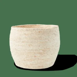 ALVIN Cesto Portatutto Con Coperchio Marrone, Naturale|CASA Clearance