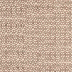 ANISE Runner Multicolore|CASA Online