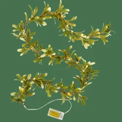 BLATTE Filo Luminoso Verde|CASA Best