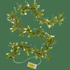 BLATTE Filo Luminoso Verde|CASA Best