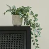 CALATHEA Pianta Sospesa Grigio, Verde, Viola|CASA Sale