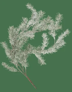 CEDER Ramo Decorativo Verde|CASA Clearance