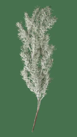 CEDER Ramo Decorativo Verde|CASA Clearance