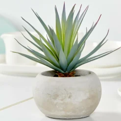 CEMENT Succulente Finto In Vaso Grigio|CASA Online