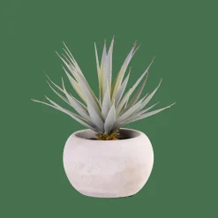 CEMENT Succulente Finto In Vaso Grigio|CASA Online