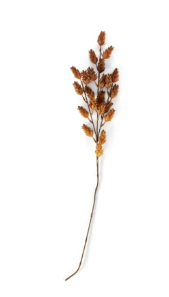 CIPRA Stelo Verde|CASA Outlet