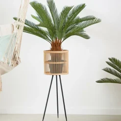 CYCAS Palma Verde|CASA Best