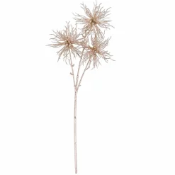 DANDIL Stelo Arancione|CASA Online