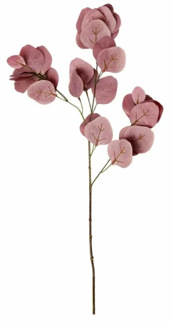 EUCALYPTUS Ghirlanda Verde|CASA Outlet