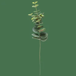 EUCALYPTUS Ramo Artificiale Verde|CASA