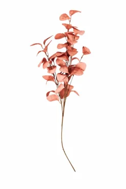 EVA Eucalipto Verde|CASA Hot