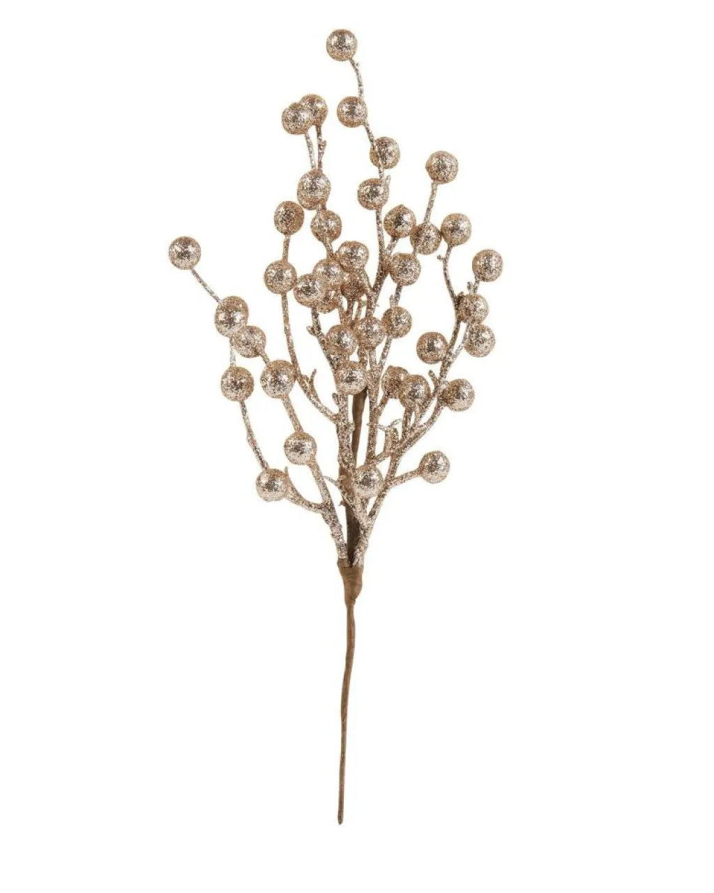 FELIX Ramo Decorativo Dorato|CASA Best