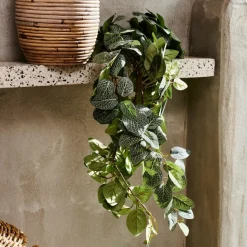 FITTONIA Ghirlanda Di Foglie Verde|CASA Discount