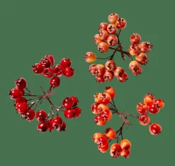 FOAM Decorazione Cinorrodo Rosso|CASA Sale