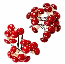 FOAM Rami Di Rosa Canina Rosso|CASA New