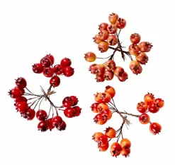 FOAM Rami Di Rosa Canina Rosso|CASA New