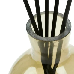 GOLDENROD Stelo Cachi|CASA Online