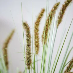 GRASS Canna Palustre Artificiale Verde|CASA New