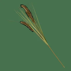 GRASS Canna Palustre Artificiale Verde|CASA New