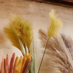 GRASS Pennacchio Di Canna Verde|CASA Sale