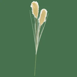 GRASS Pennacchio Di Canna Verde|CASA Sale