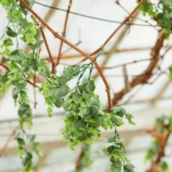 GREEN Ramo Artificiale Verde|CASA Hot