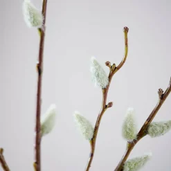 JULIA Vaso Verde|CASA Discount