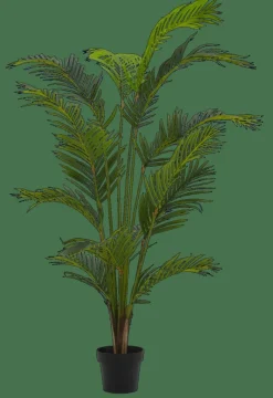 KWAI Palma Verde|CASA Online