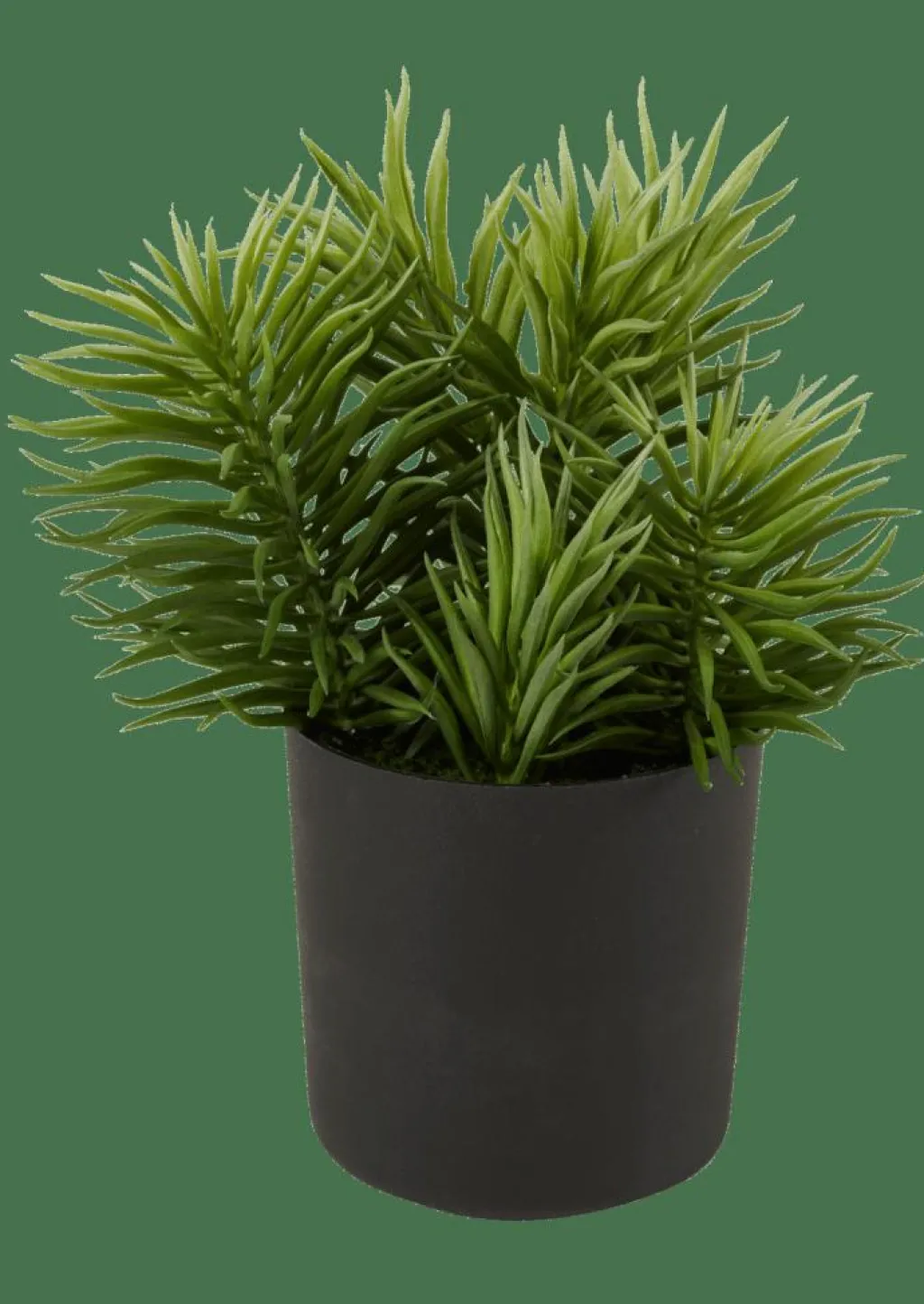 MOHAVE Vari Colori|CASA Outlet