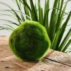 MOSS Sfera Di Muschio Verde|CASA New