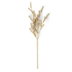 MOTHERWORT Rametto Erbe Dorato|CASA Clearance