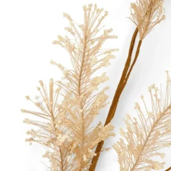 PAMPA Pampas Bianco|CASA New