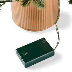 PIM Filo Luminoso 25 Luci Led Verde|CASA