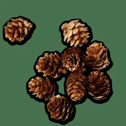 PINECONE Decorazione Sfusa Dorato|CASA
