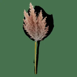 PLUME Stelo Di Piume Arancione|CASA