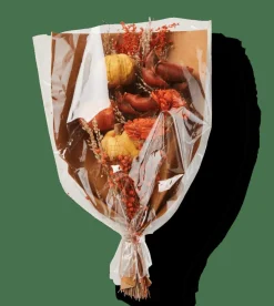 PUMPI Bouquet Secco Vari Colori|CASA Outlet