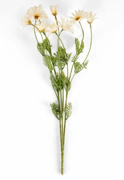 RONDA Vaso Beige|CASA Sale