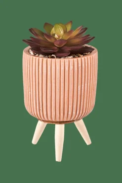 STRIPE Succulente Finto In Vaso Multicolore|CASA Clearance