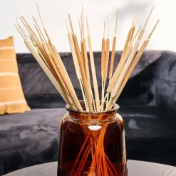TYPHA Canna Palustre Set Di 15 Naturale|CASA Outlet