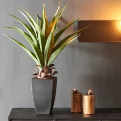 VERA Aloe Vera Verde|CASA Online